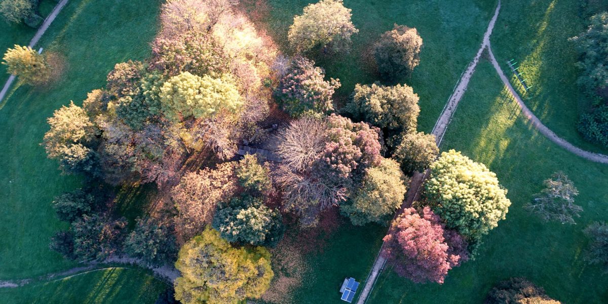 biodiversité en ville nature en ville reconquête ecologique