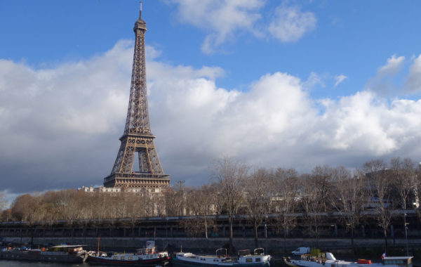 écologie urbaine, sols vivants, sols fertiles friche industrielle, sites et sols pollués, nfx 31-620, pollution, phytoremediation