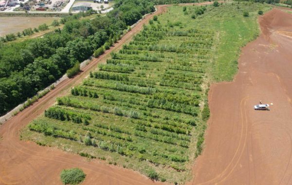 écologie urbaine, sols vivants, sols fertiles friche industrielle, sites et sols pollués, nfx 31-620, pollution, phytoremediation - belfort thann alsace 68 67 70 90 25