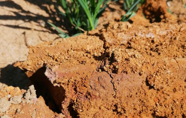 sol fertile sol vivant 25 doubs montbéliard belfort agronomie pédologie géologie pollution