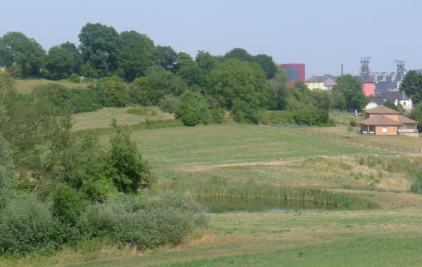 écologie urbaine, sols vivants, sols fertiles friche industrielle, sites et sols pollués, nfx 31-620, pollution, phytoremediation