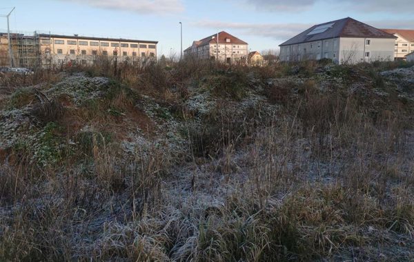 écologie urbaine, sols vivants, sols fertiles friche industrielle, sites et sols pollués, nfx 31-620, pollution, phytoremediation besançon