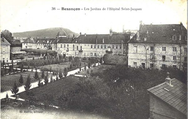 écologie urbaine, sols vivants, sols fertiles friche industrielle, sites et sols pollués, nfx 31-620, pollution, phytoremediation besançon