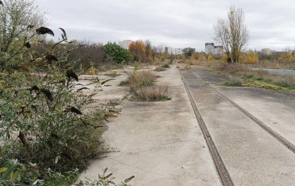 Melun Dammarie les lys - écologie urbaine, sols vivants, sols fertiles friche industrielle, sites et sols pollués, nfx 31-620, pollution, phytoremediation