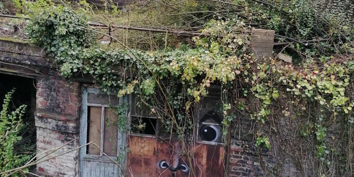ecologie urbaine sol vivant biodiversité en ville hekladonia gilles gallinet