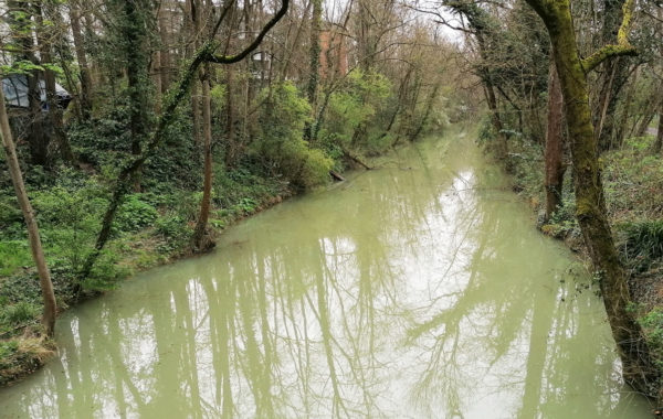ecologie urbaine réhabilitation rivière reméandrement directive cadre sur l'eau restauration de rivière