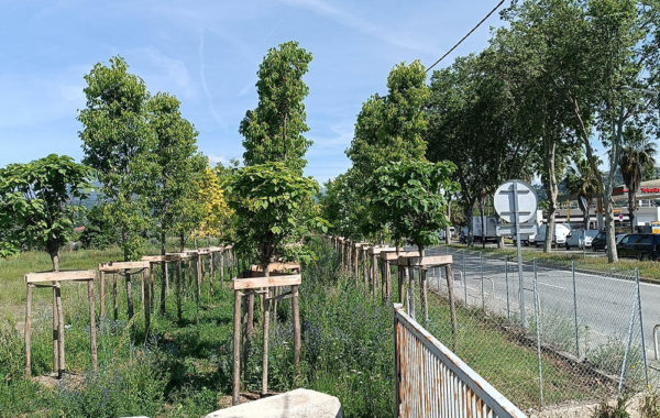 Renaturation_Hekladonia_sol-vivant-fertile-Bonneuil