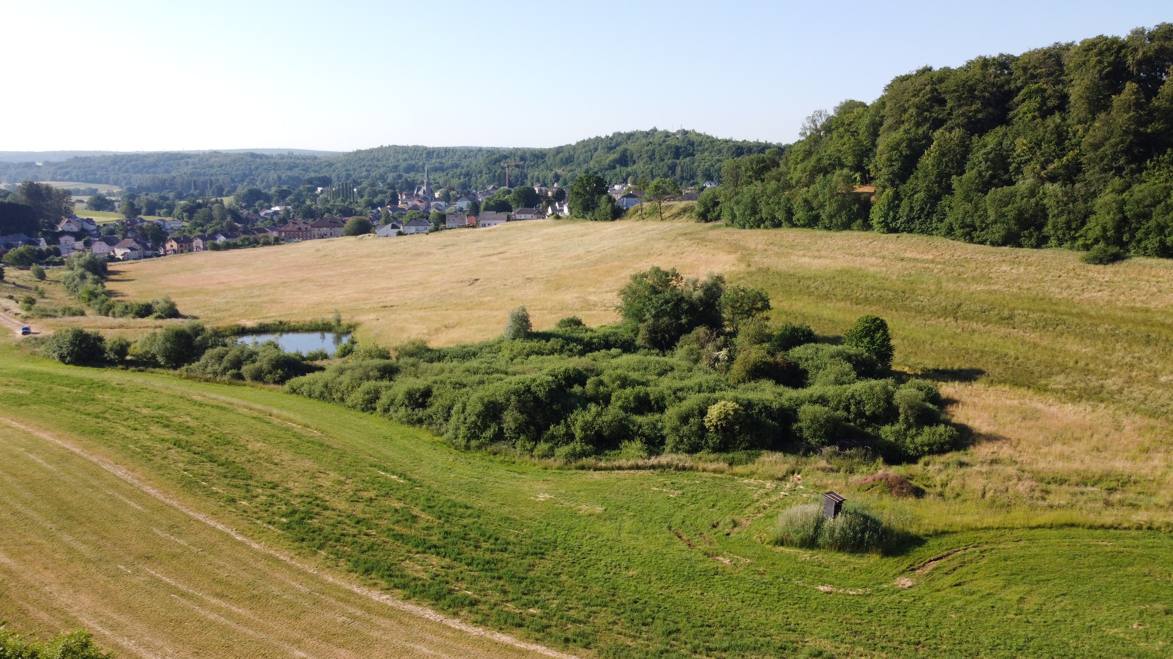 Ecologie urbaine restauration de rivière, zone humide desimpermeabilisation fonctionnalite zone humide mnefzh dle loi sur l'eau